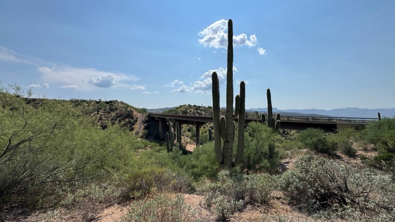 Poison Springs Trail Review Photo