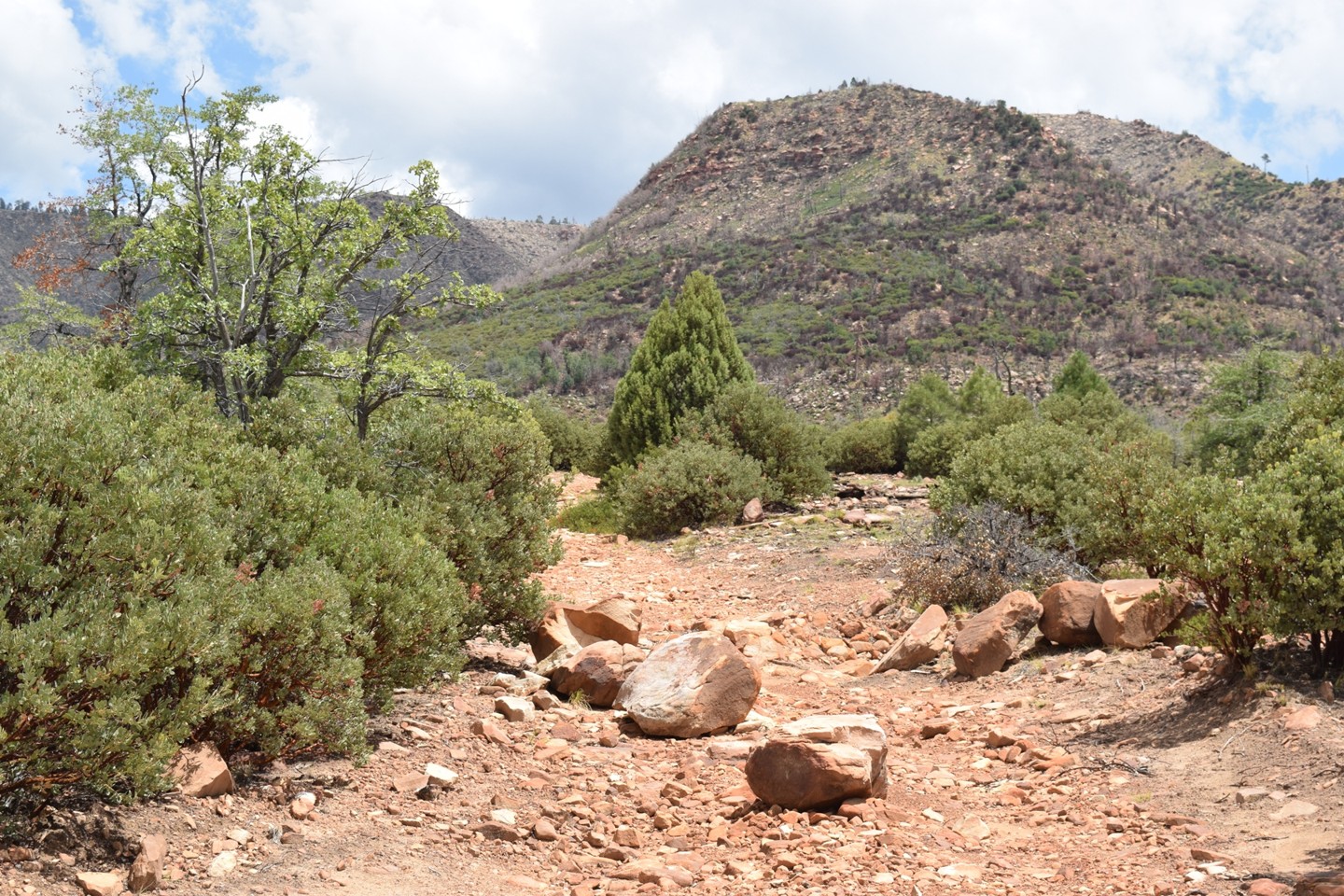 Highline Access  - Best Trails