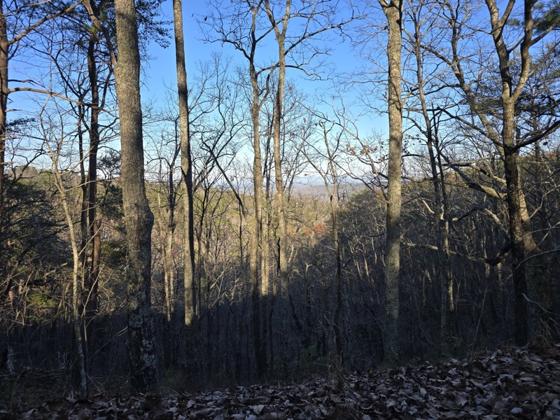 Blue Springs Branch Trail Review Photo