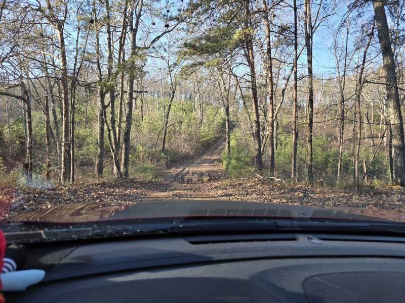 Blue Springs Branch Trail Review Photo