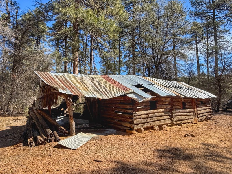 Dupont Cabin Trail Review Photo
