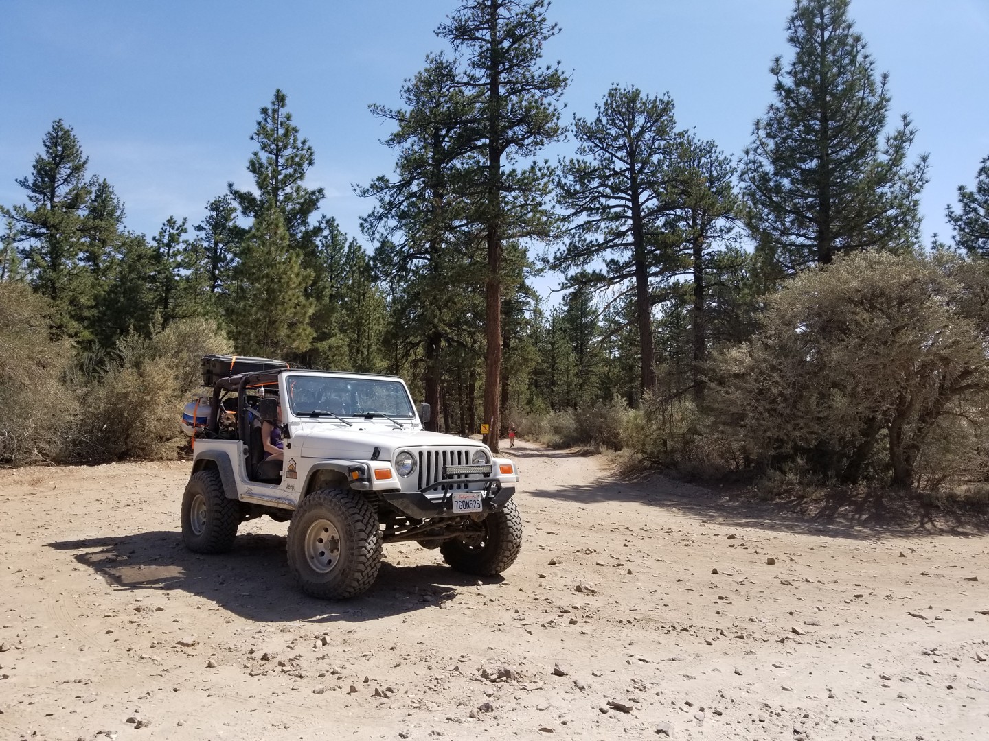 3N07 – Van Dusen Creek - California 