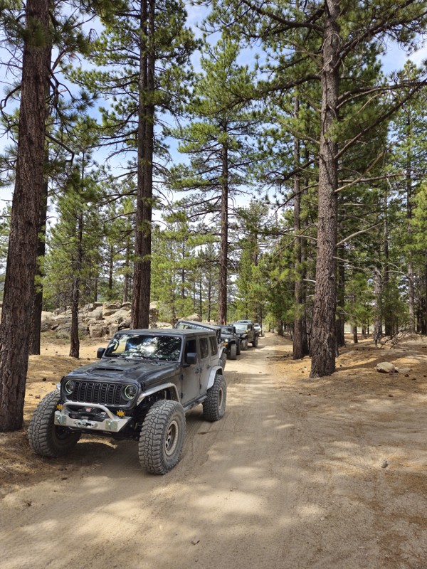Van Dusen Creek Trail Review Photo