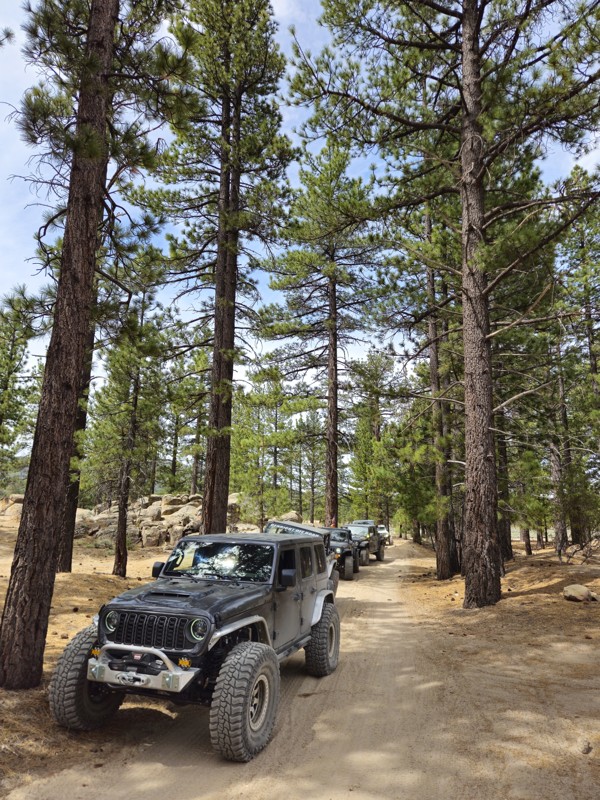 Van Dusen Creek Trail Review Photo