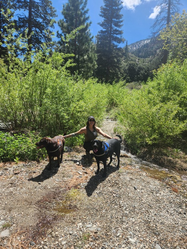 4N11 Big Rock Creek Trail Review Photo