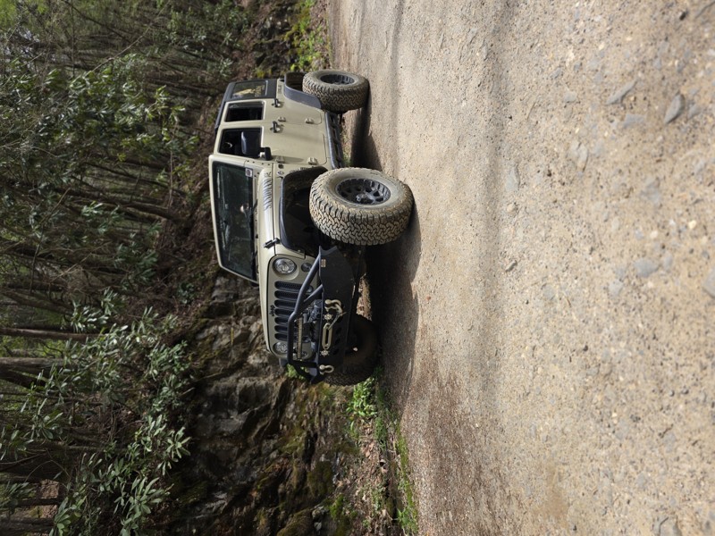 Noontootla Road Trail Review Photo