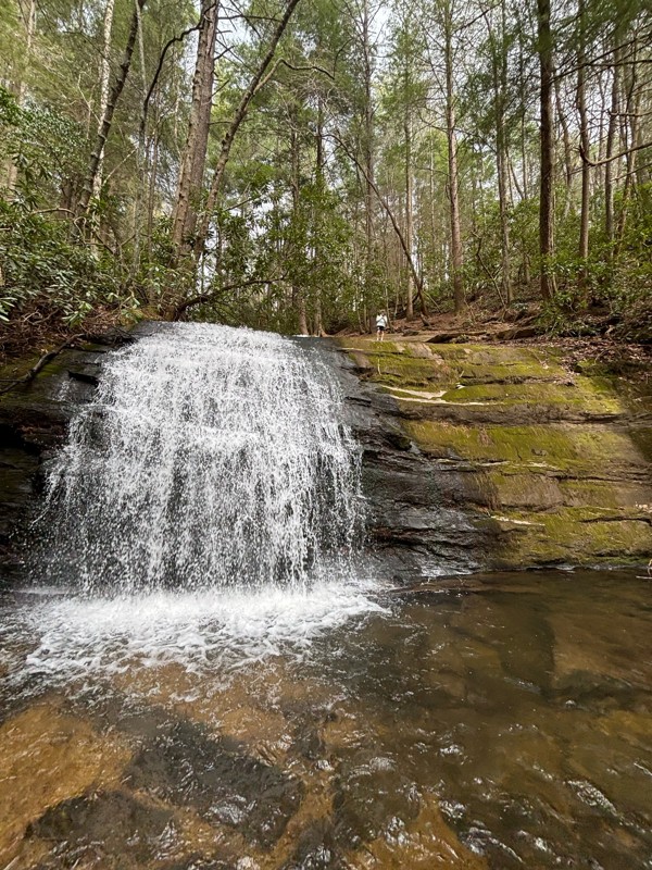 Noontootla Road Trail Review Photo