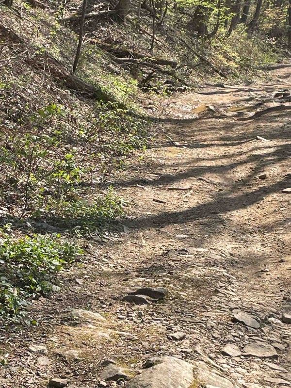 Tray Mountain Road Trail Review Photo