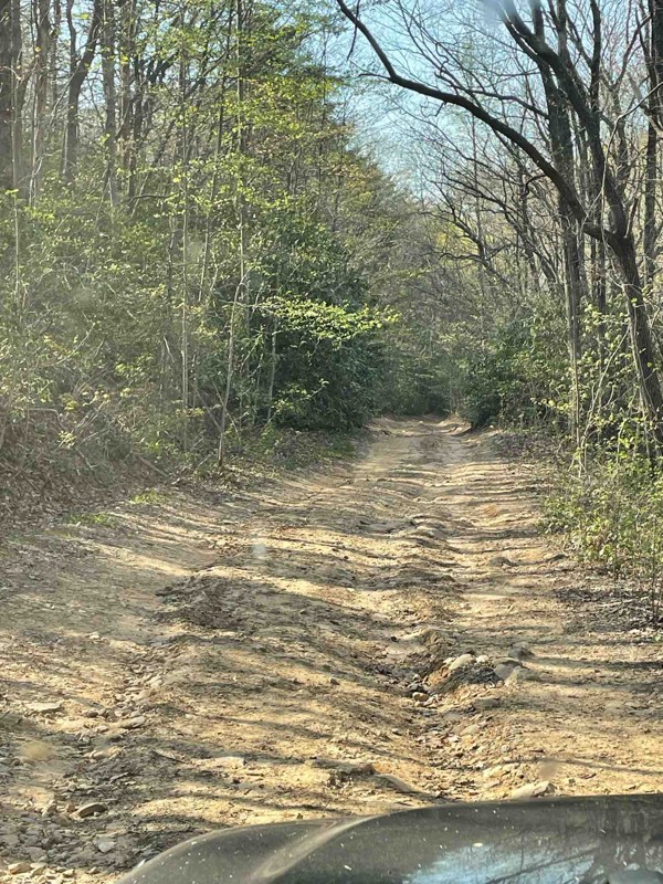 Tray Mountain Road Trail Review Photo