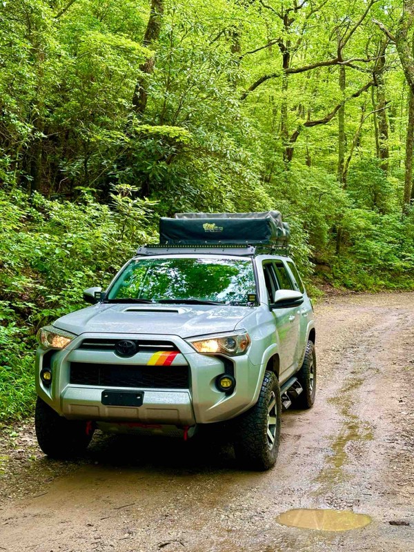 Tray Mountain Road Trail Review Photo