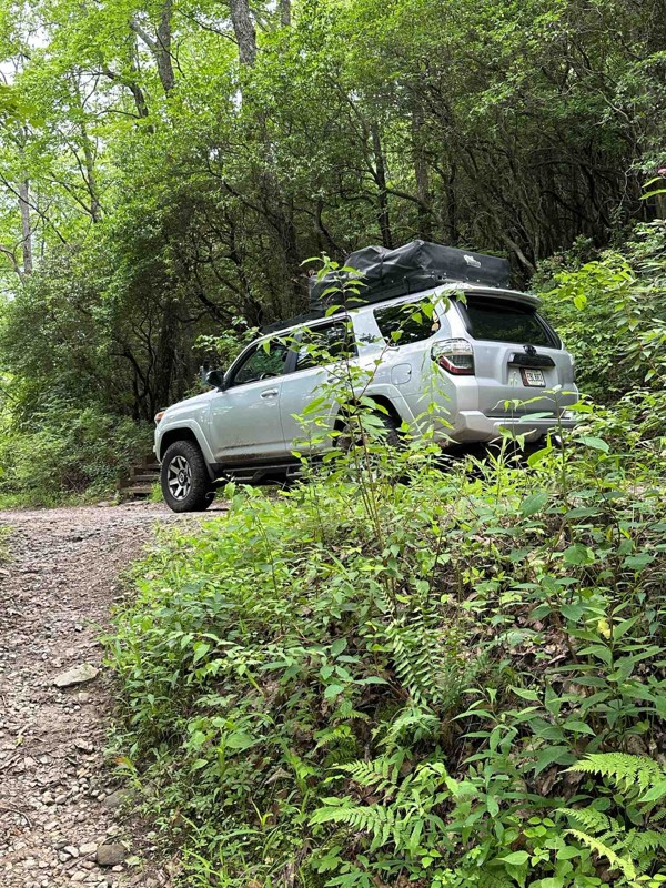 Tray Mountain Road Trail Review Photo