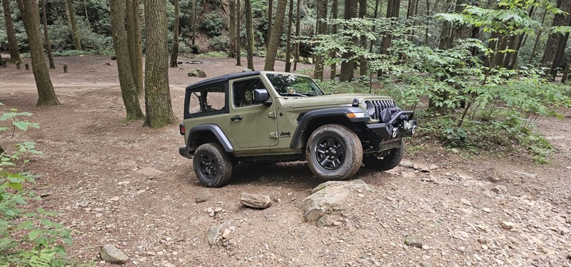 Tray Mountain Road Trail Review Photo