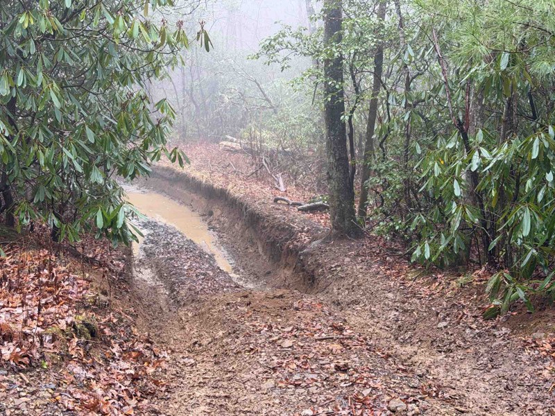 Tray Mountain Road Trail Review Photo