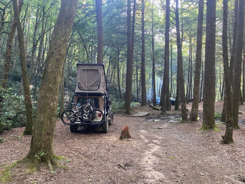 Tray Mountain Road Trail Review Photo