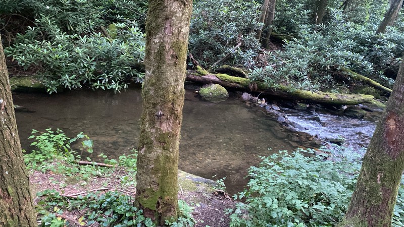 Tray Mountain Road Trail Review Photo