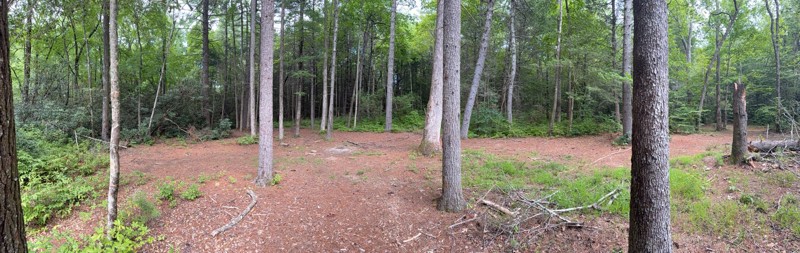 Tray Mountain Road Trail Review Photo