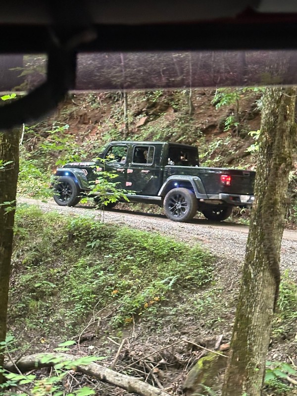 Tray Mountain Road Trail Review Photo