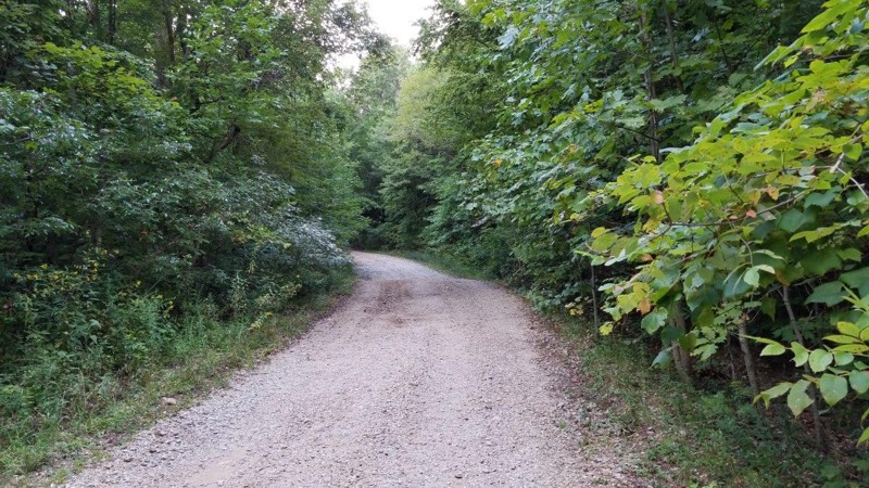 Tray Mountain Road - Waypoint 10: Camping Area