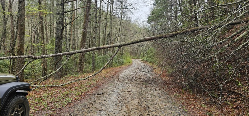 Corbin Creek Road Trail Review Photo