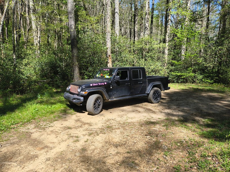 Corbin Creek Road Trail Review Photo