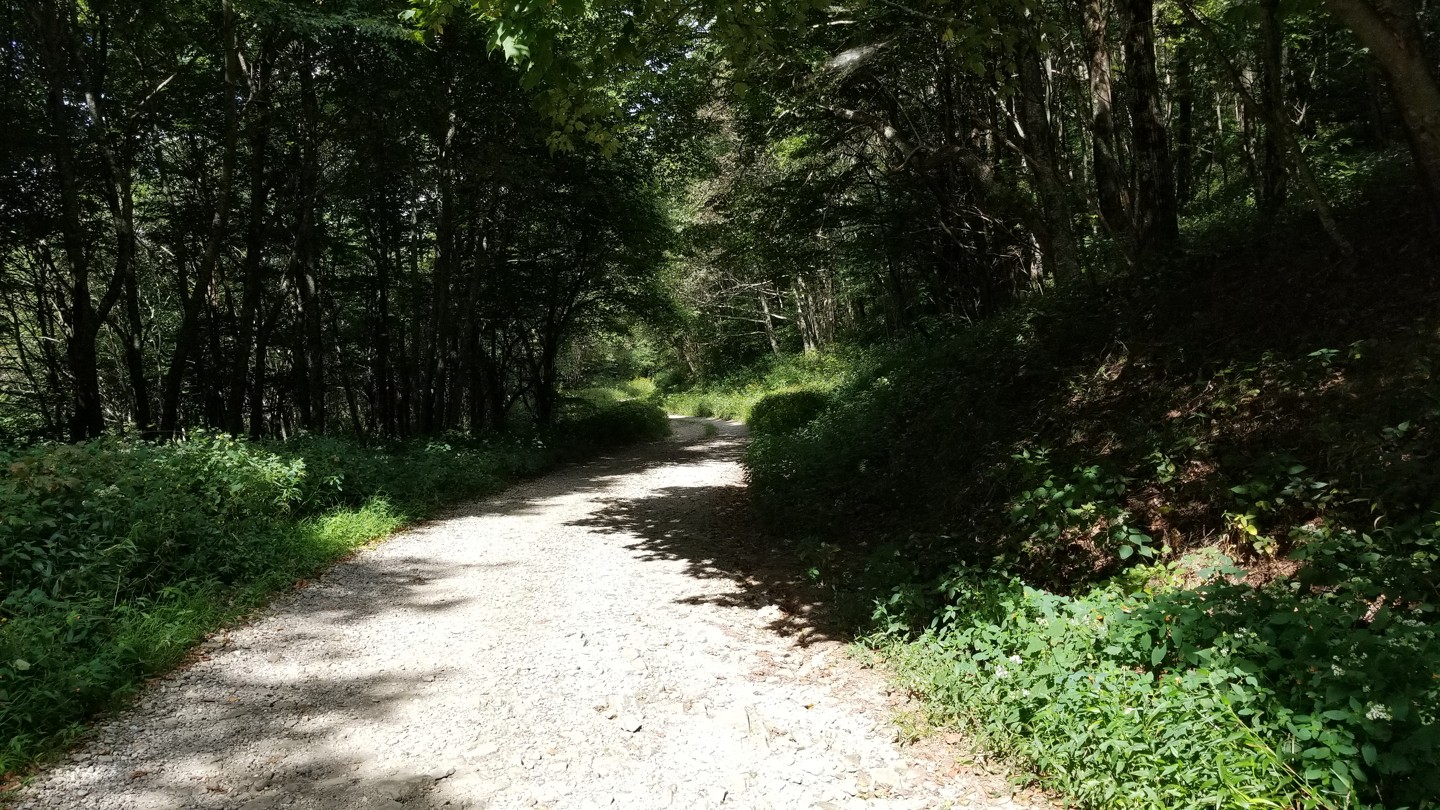 Corbin Creek Road - Waypoint 2: Camping Area