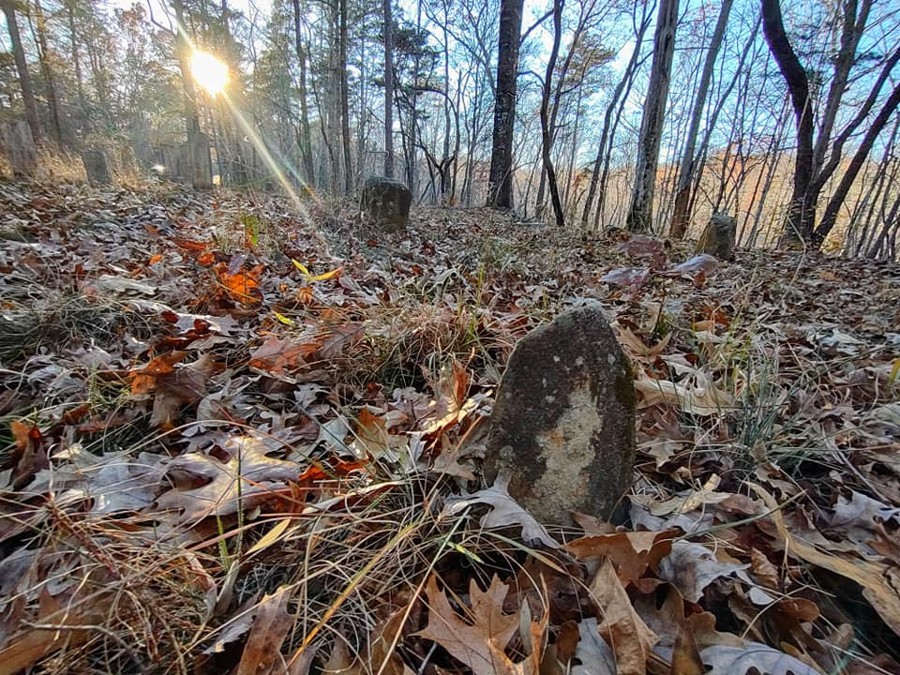 Red Root Road Trail Review Photo