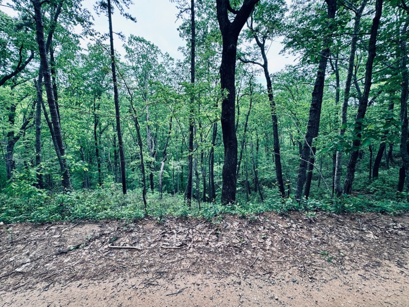 Red Root Road Trail Review Photo