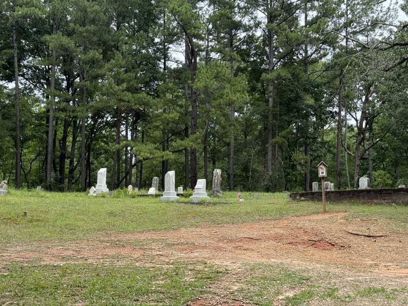 Red Root Road Trail Review Photo