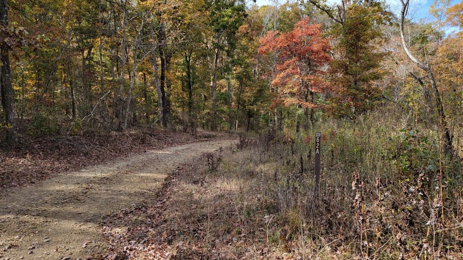 Pear Orchard Loop Trail Review Photo