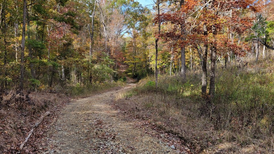 Pear Orchard Loop Trail Review Photo