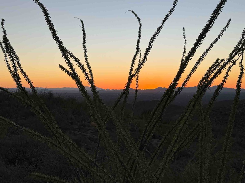Redington Pass Trail Review Photo