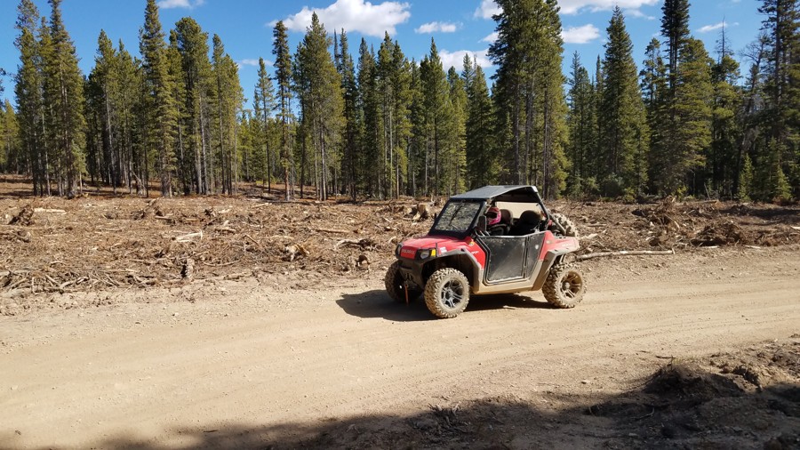 Trail Review: American Gulch/Humbug Hill - Trint Ladd