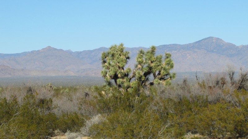 Arizona: Dutch Flat Connector Hero Photo