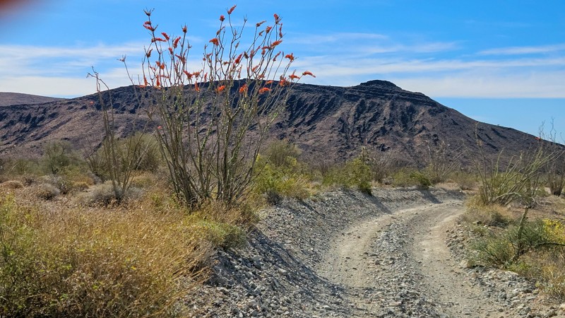Dutch Flat Road Trail Review Photo