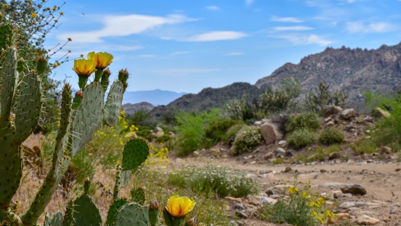 Boriana Mine Trail Review Photo