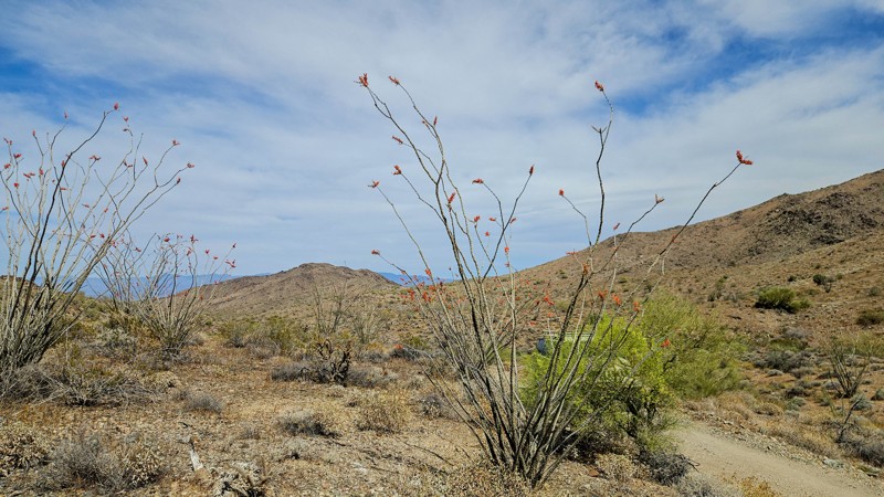 Franconia Wash Trail Review Photo