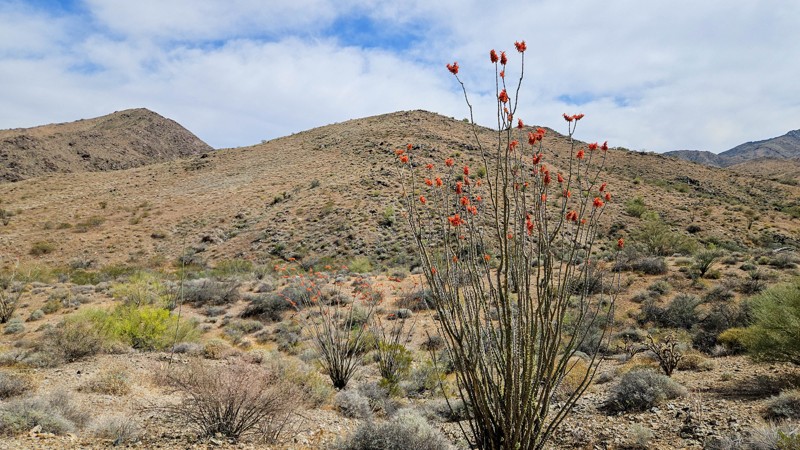 Franconia Wash Trail Review Photo
