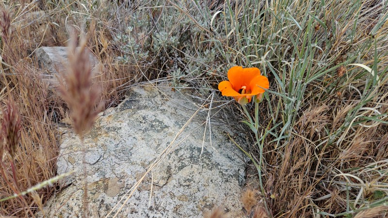 Scott’s Well Trail Review Photo