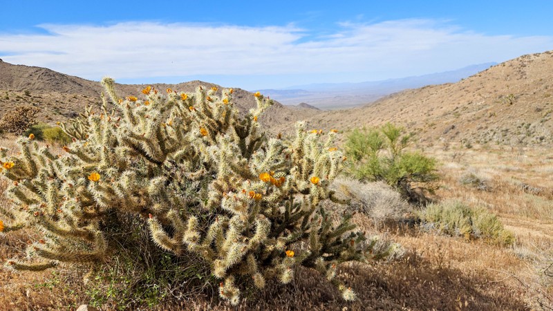 Scott’s Well Trail Review Photo