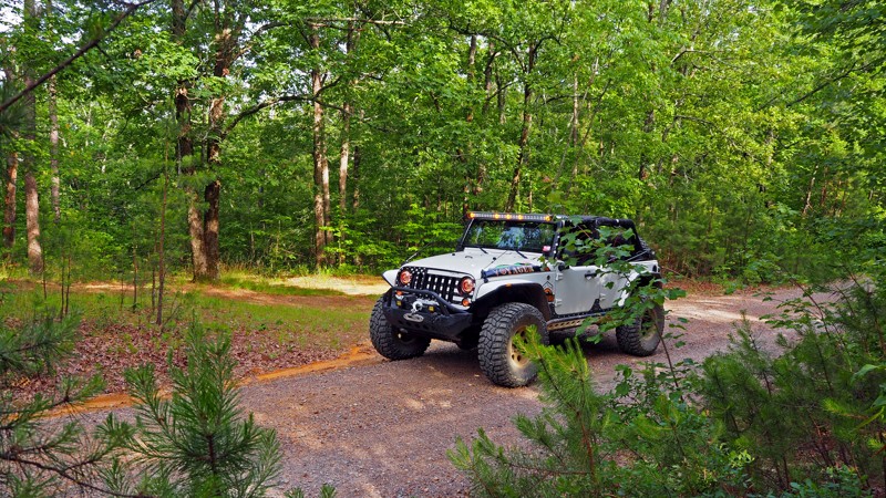 Arkansas: Forest Road 94 - Flatside Wilderness Hero Photo