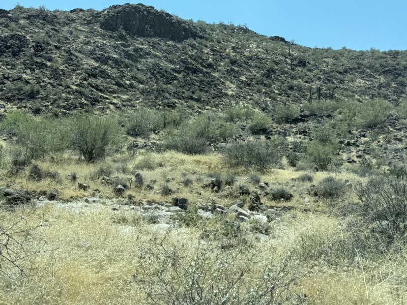 Apache Land Trail Trail Review Photo