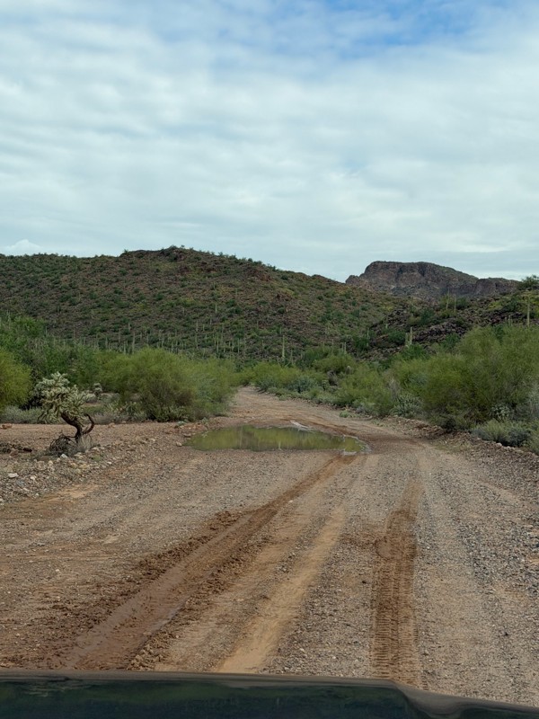 Apache Land Trail Trail Review Photo