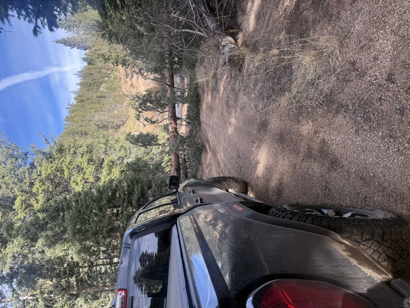 Ice Cave Road Trail Review Photo