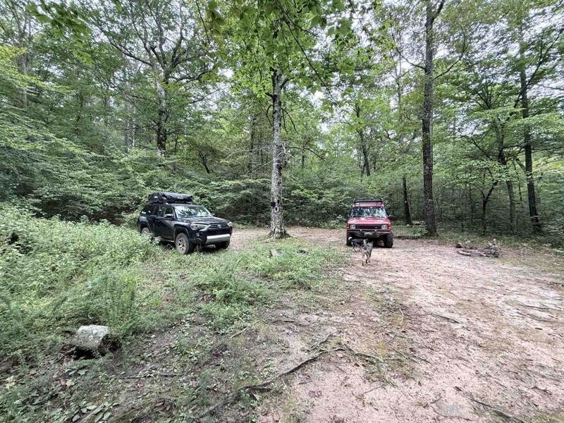 Kiamichi Trail aka (K-Trail) - East Half Trail Review Photo
