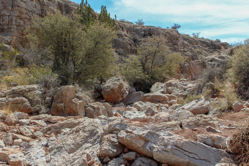 New Mexico: Edge Canyon Hero Photo