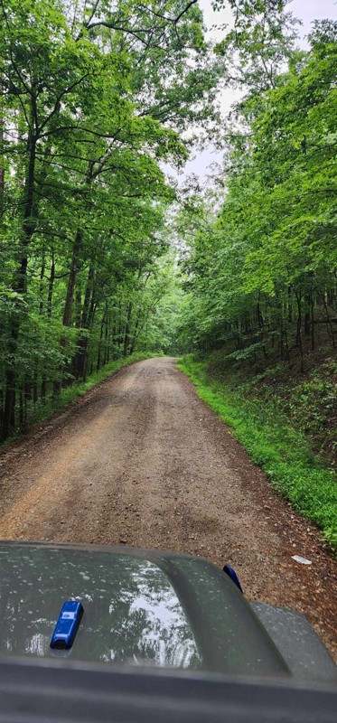 Hickory Nut Mountain Road Trail Review Photo