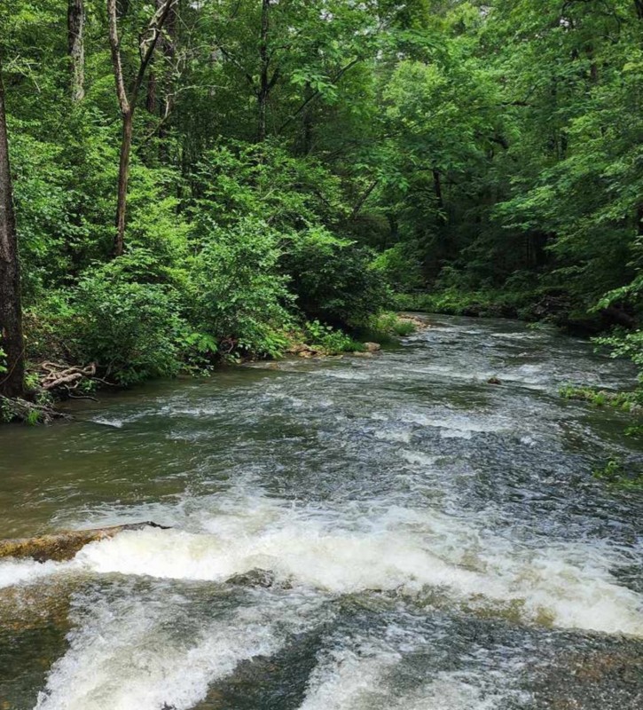 Hickory Nut Mountain Road Trail Review Photo