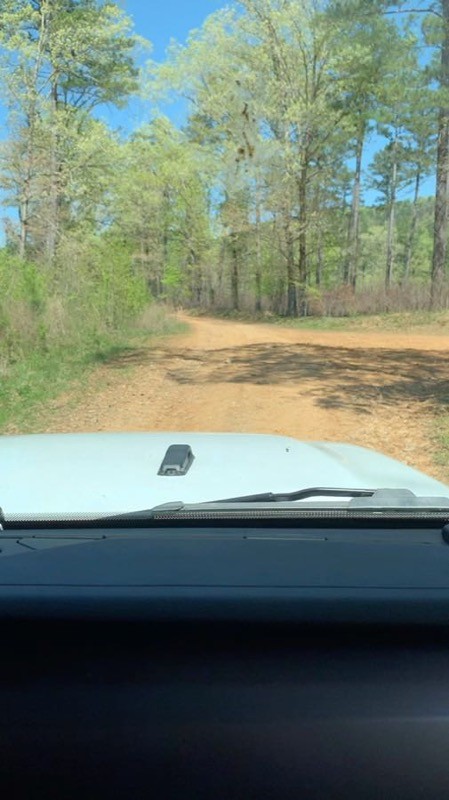 Hickory Nut Mountain Road Trail Review Photo