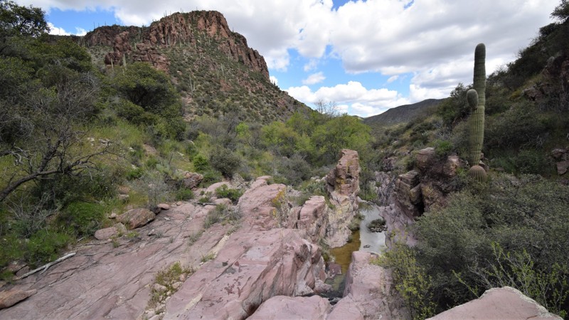 Arizona: Buckhorn Springs Hero Photo