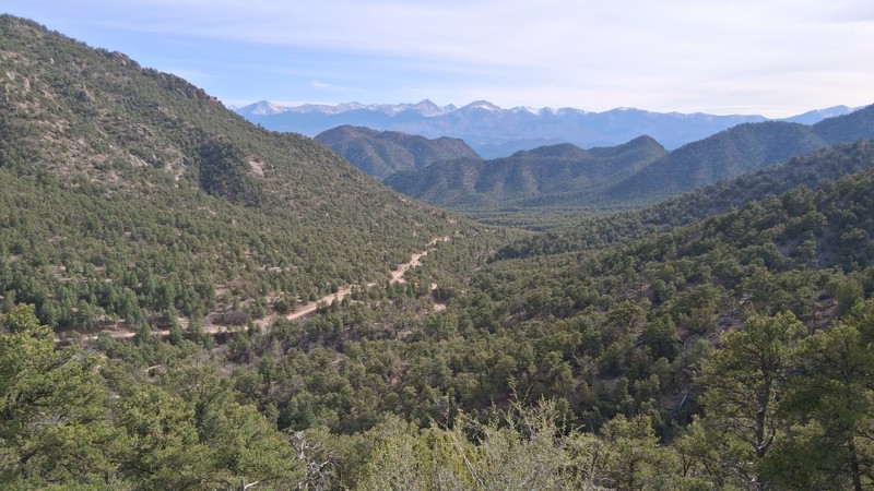 Colorado: Texas Creek OHV Area BLM Road 6060 Hero Photo